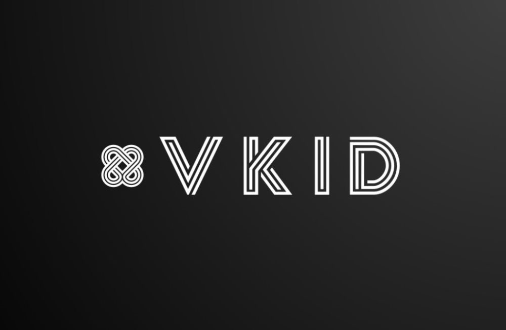 VKID Logo